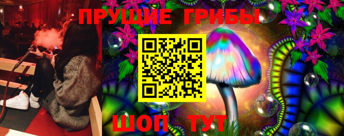 Галлюциногенные грибы прущие грибы Псков